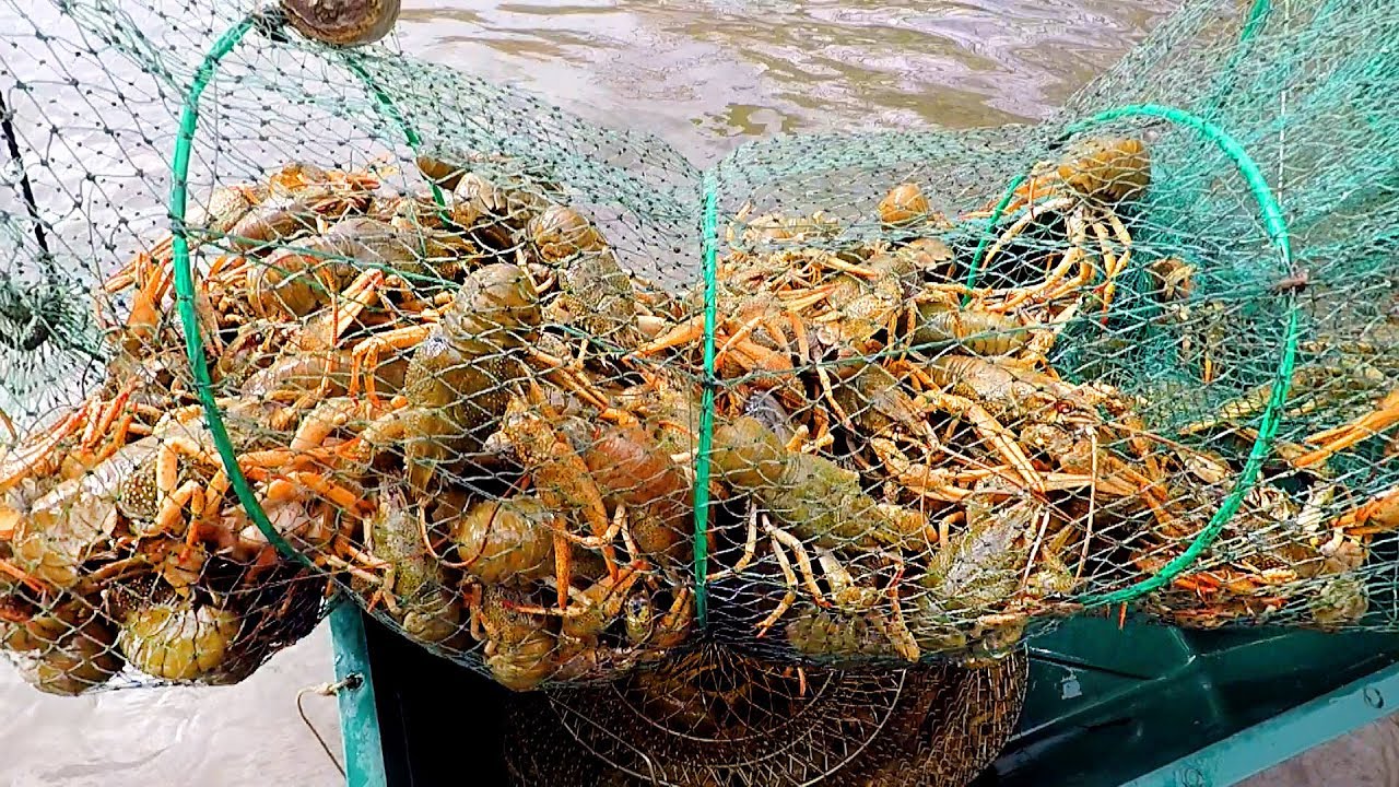 Ілюстративна світлина