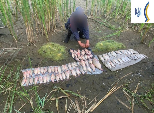 Браконьєрство на Полтавщині