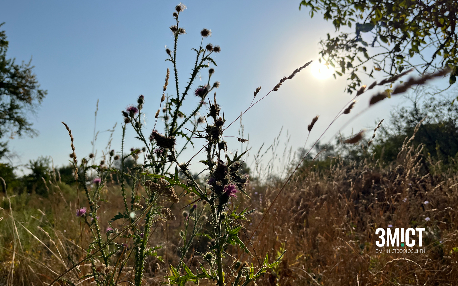 Ілюстративне фото