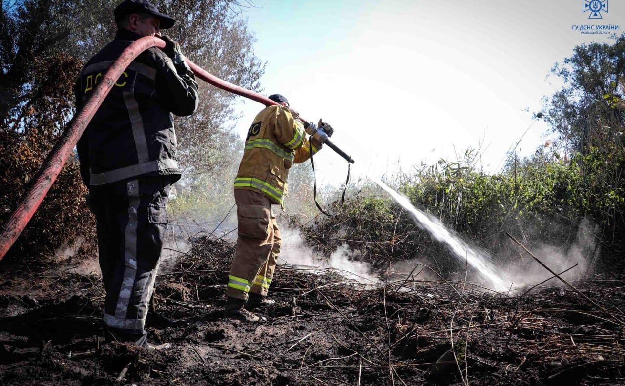 Ілюстративне фото