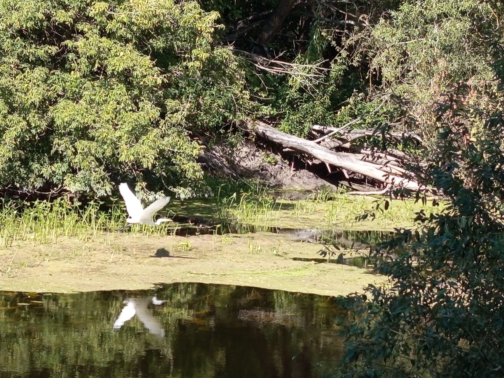 Ілюстративне фото. Річка Сула