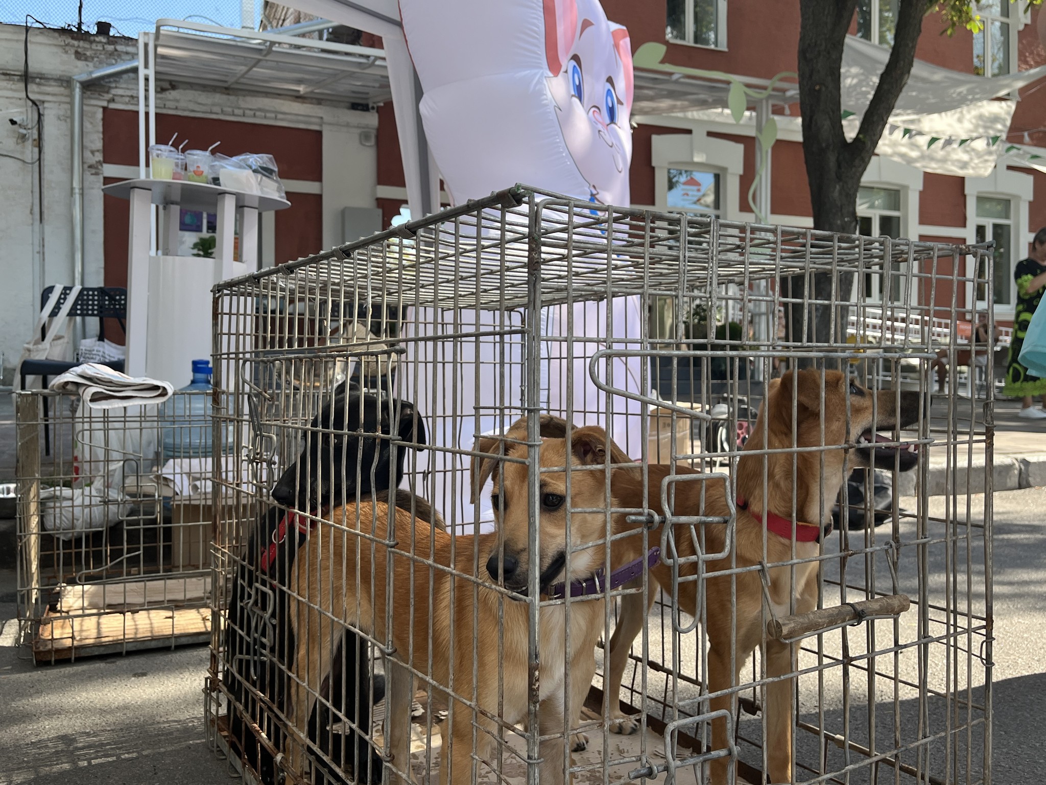 Ілюстративне фото