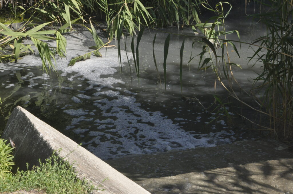 орчик забруднення