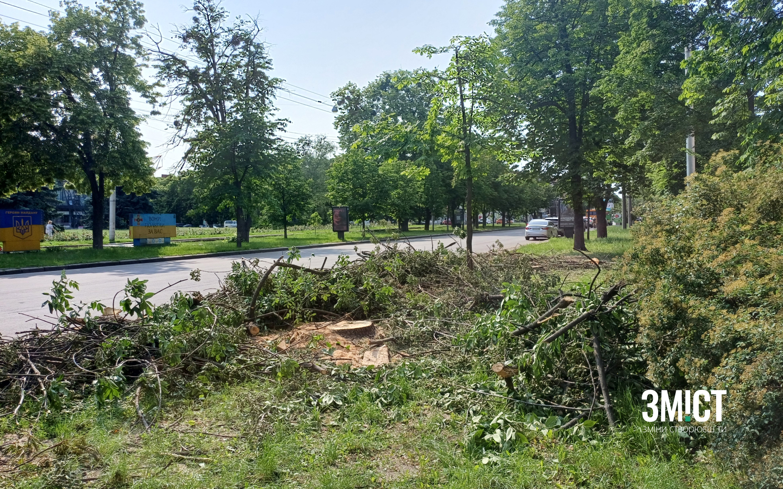 У місті спилюють аварійні дерева. Ілюстративна світлина