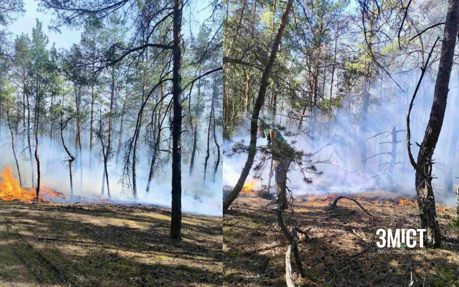 Пожежа знищила близько двох гектарів лісової підстилки