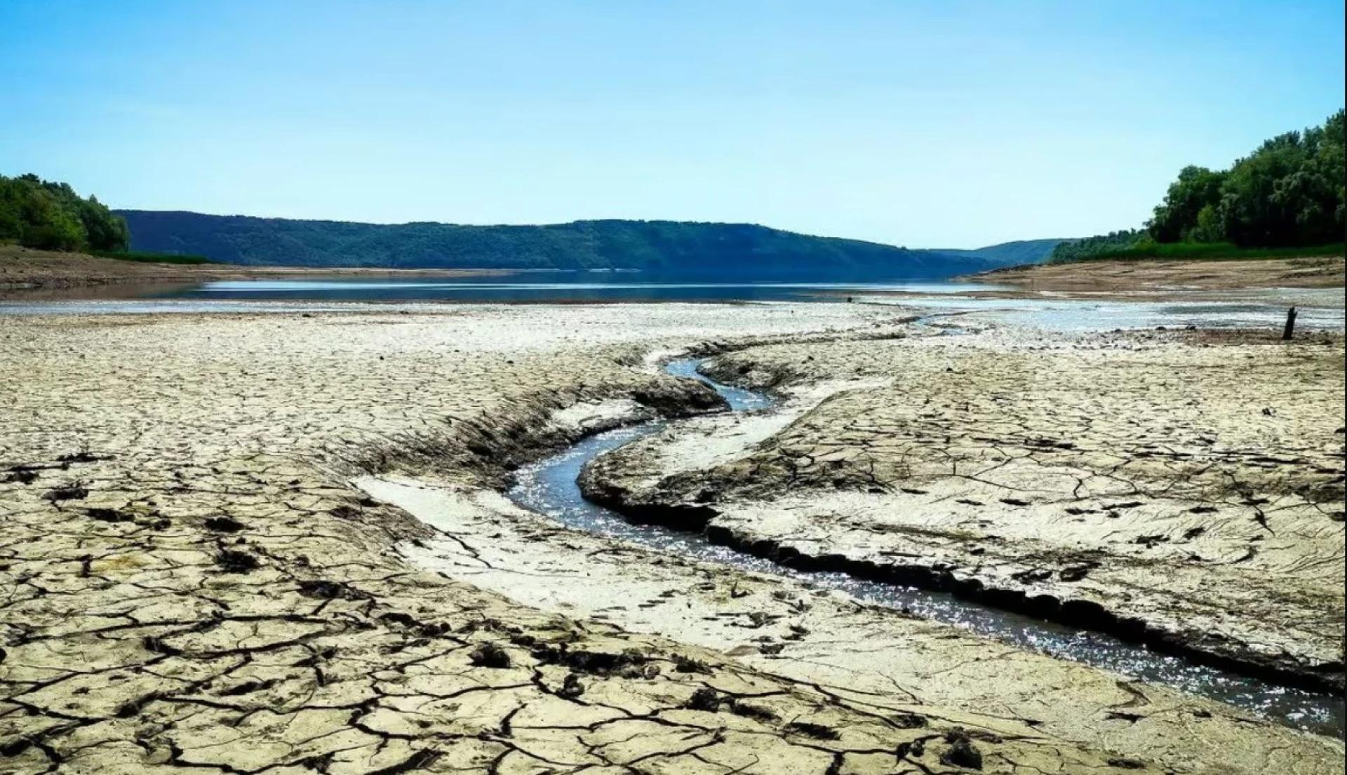 Ілюстративне фото