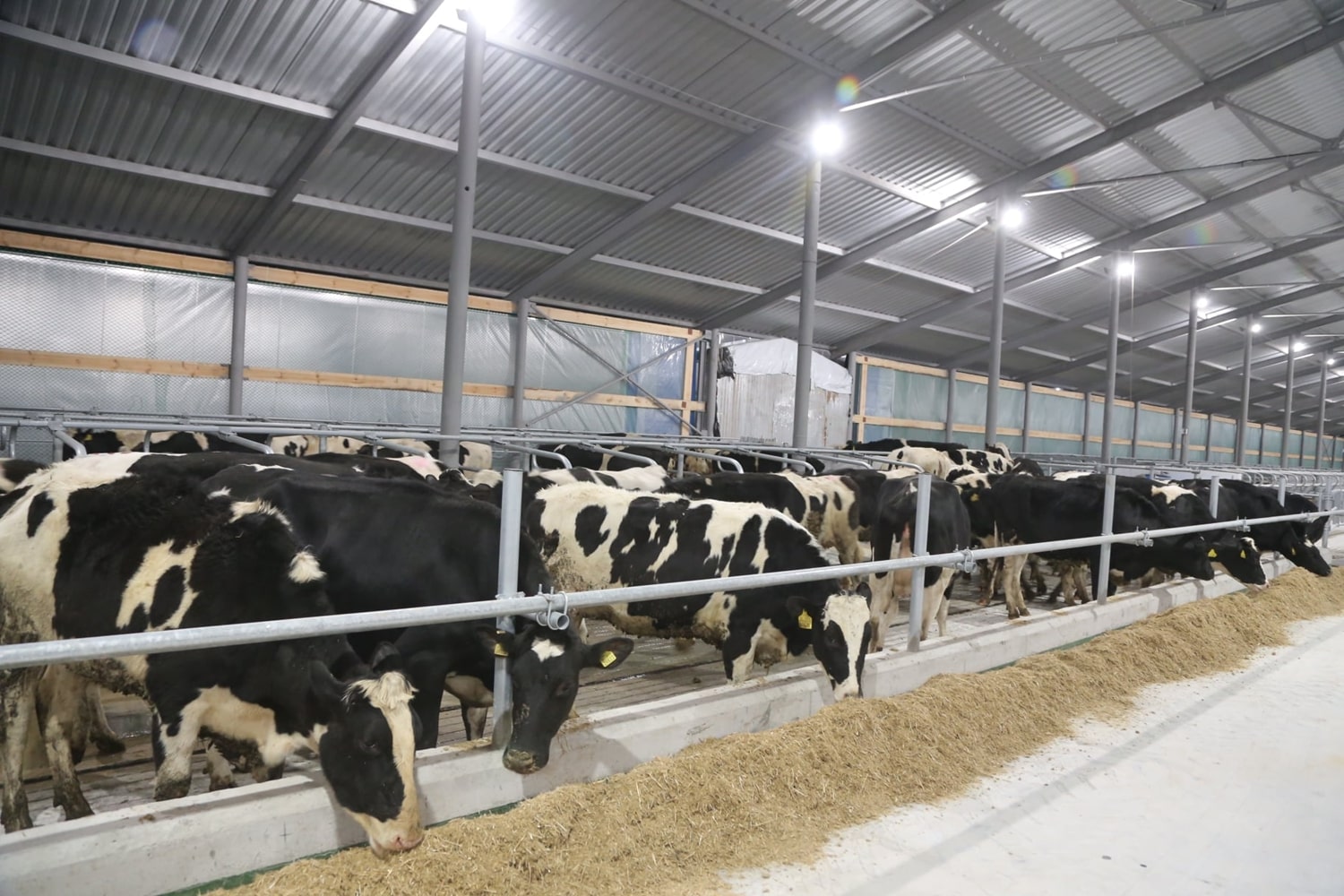 Ілюстративне фото