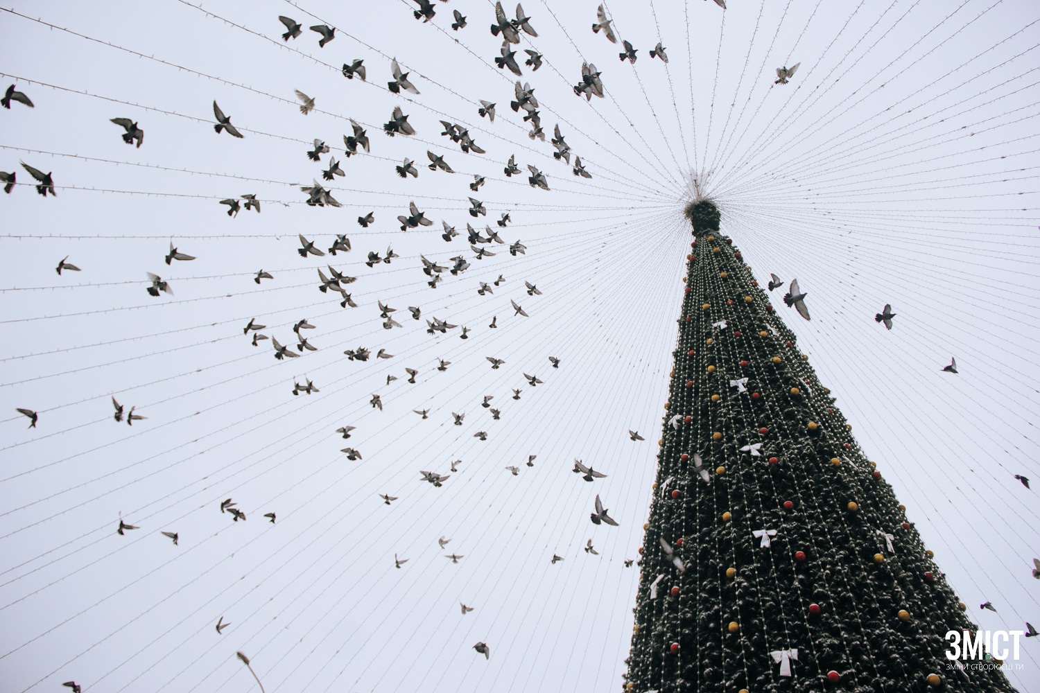 Головна ялинка Полтави у 2020 році