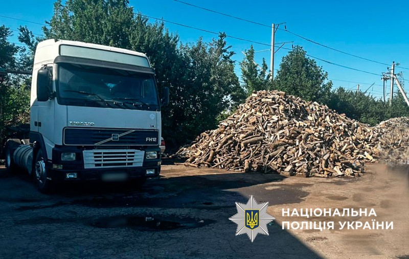 Вирубували дерева «Чорні» лісоруби