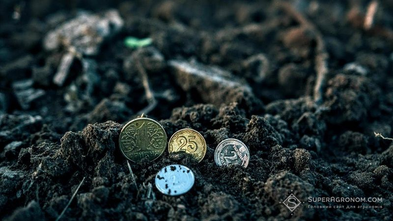 Ілюстративне фото. Гроші на полі