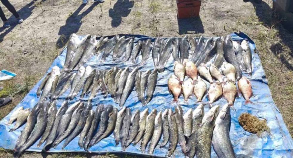 Незаконно виловлена риба