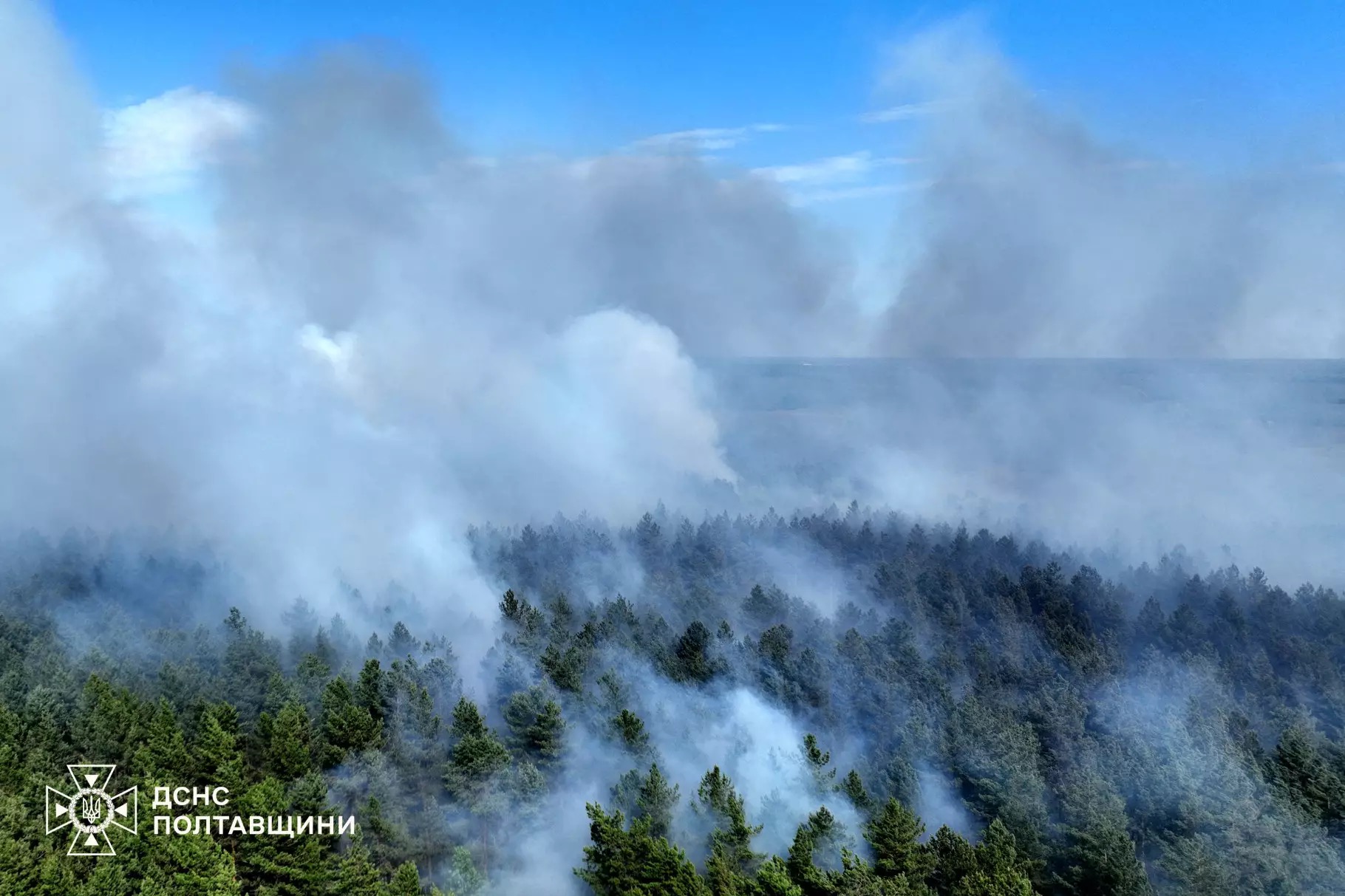 Пожежі у лісах Полтавщини. Ілюстративна світлина