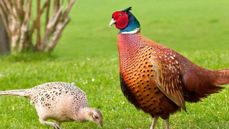 Ілюстративна світлина