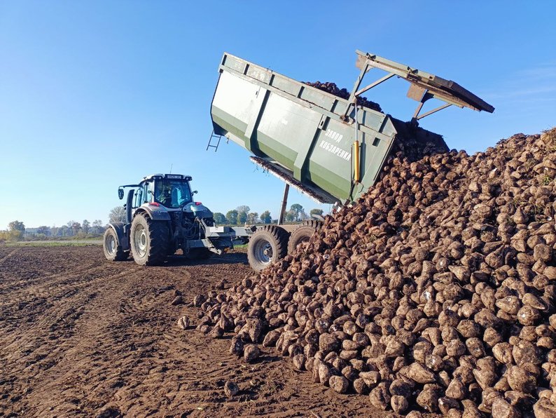 Збір урожаю