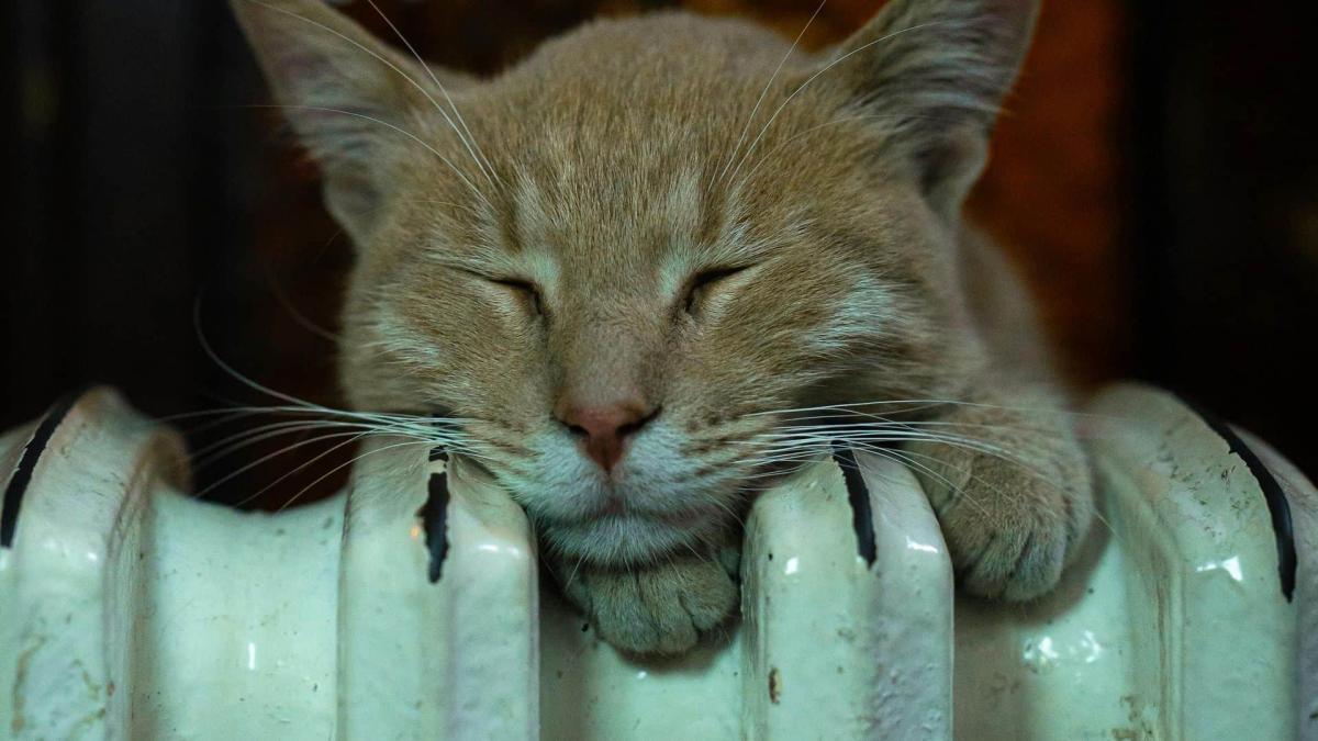 У Полтаві подають опалення з 28 жовтня