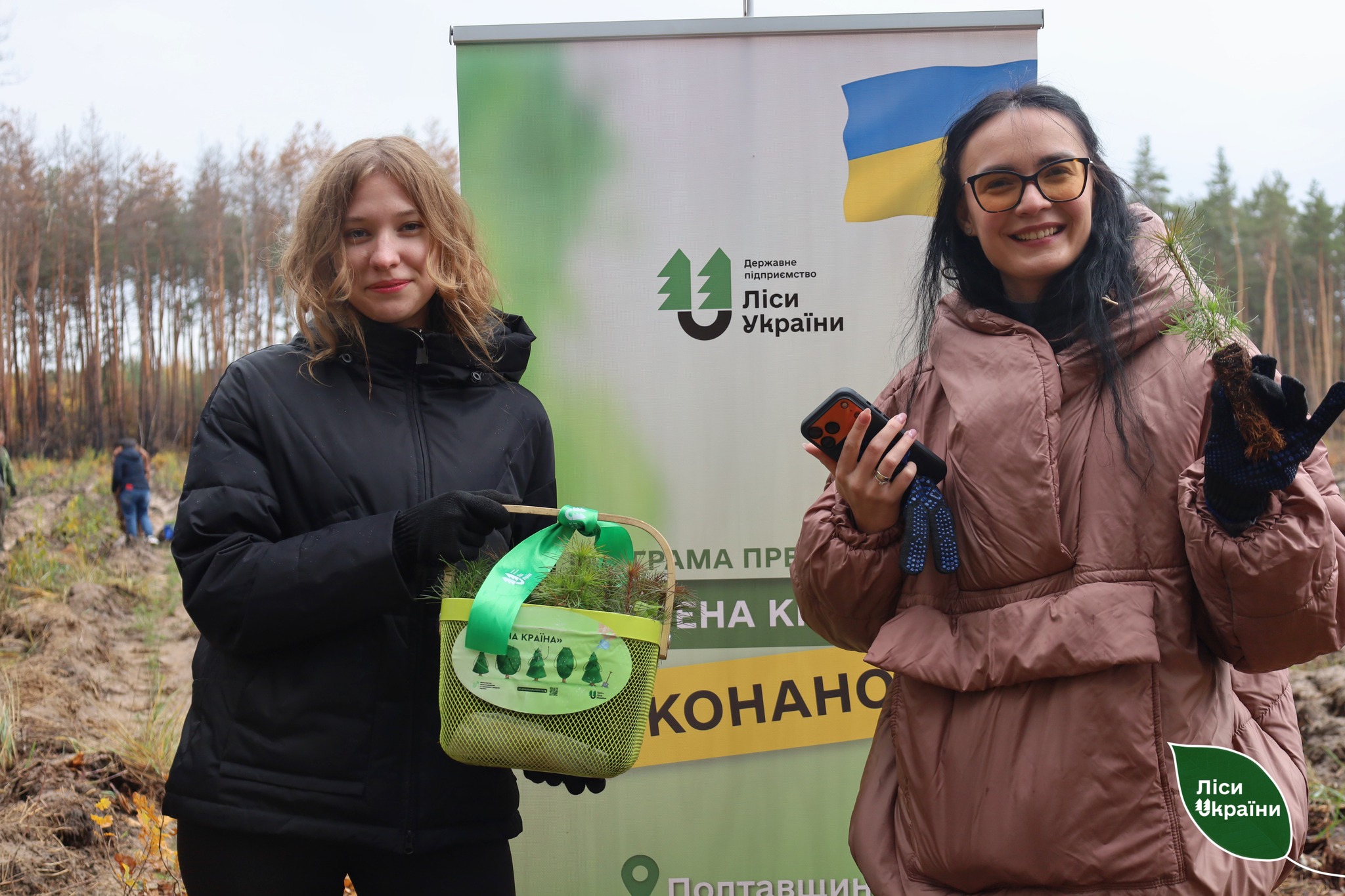 Висадка лісу