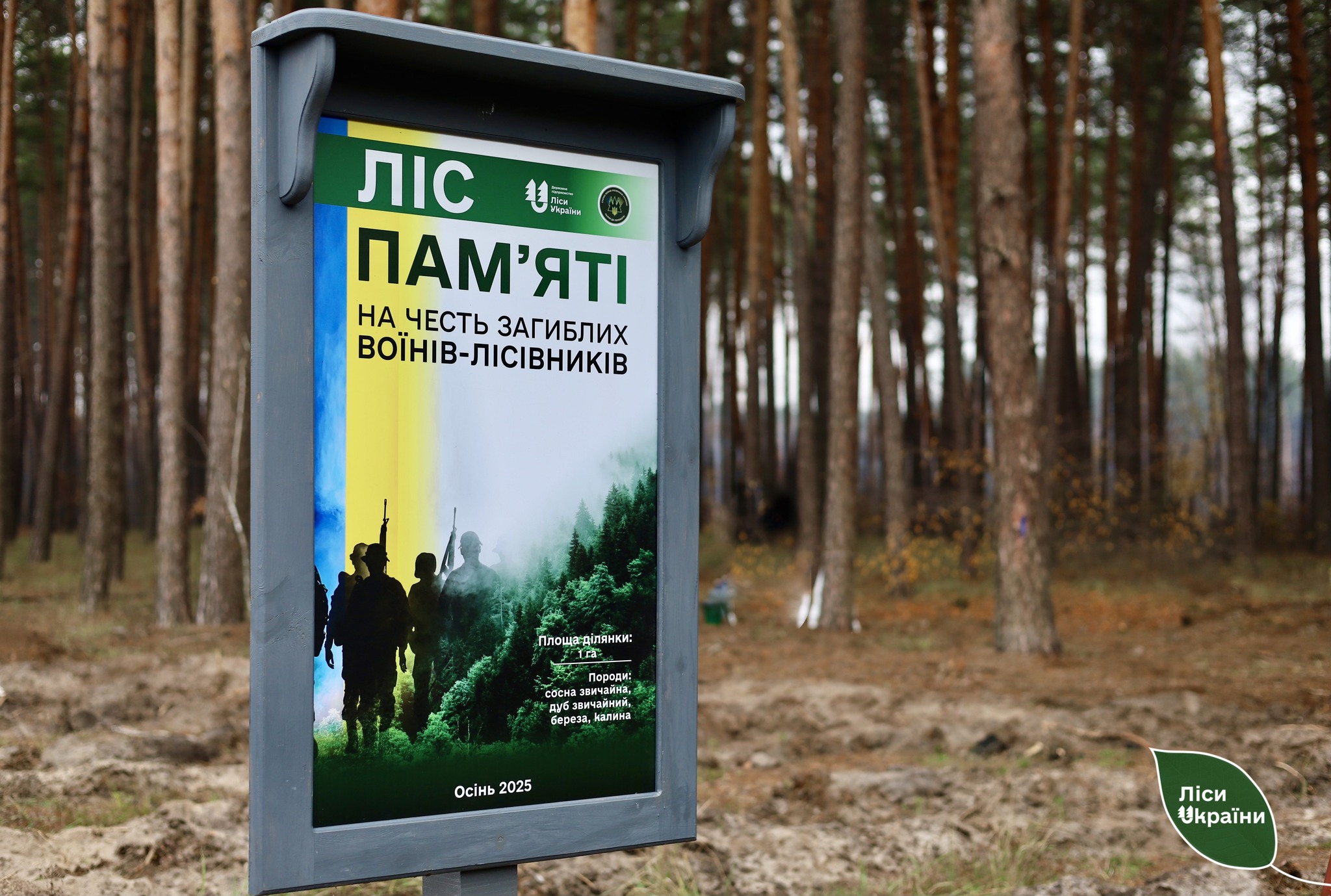 На Полтавщині висадили «Ліс пам’яті» на честь загиблих