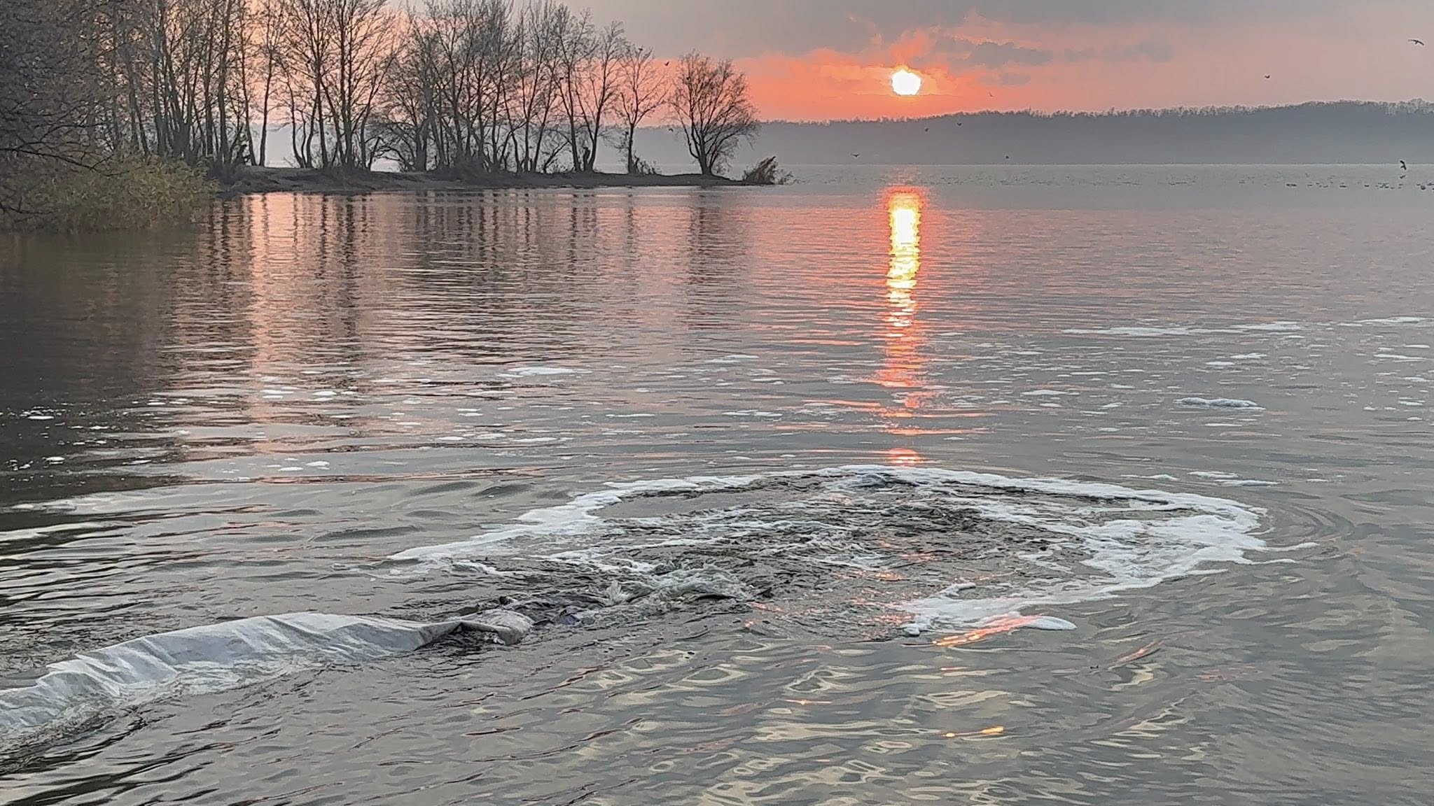 Зариблення водосховища