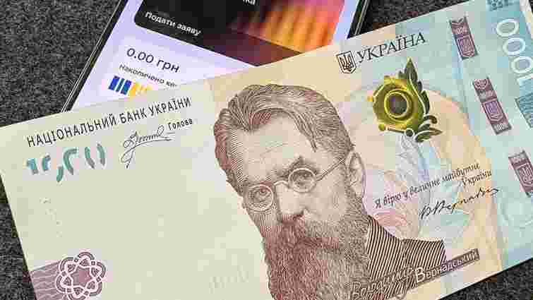 Зимова підтримка