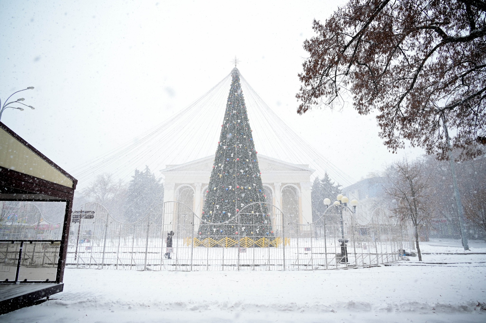 Снігопад у Полтаві. Ілюстративне фото