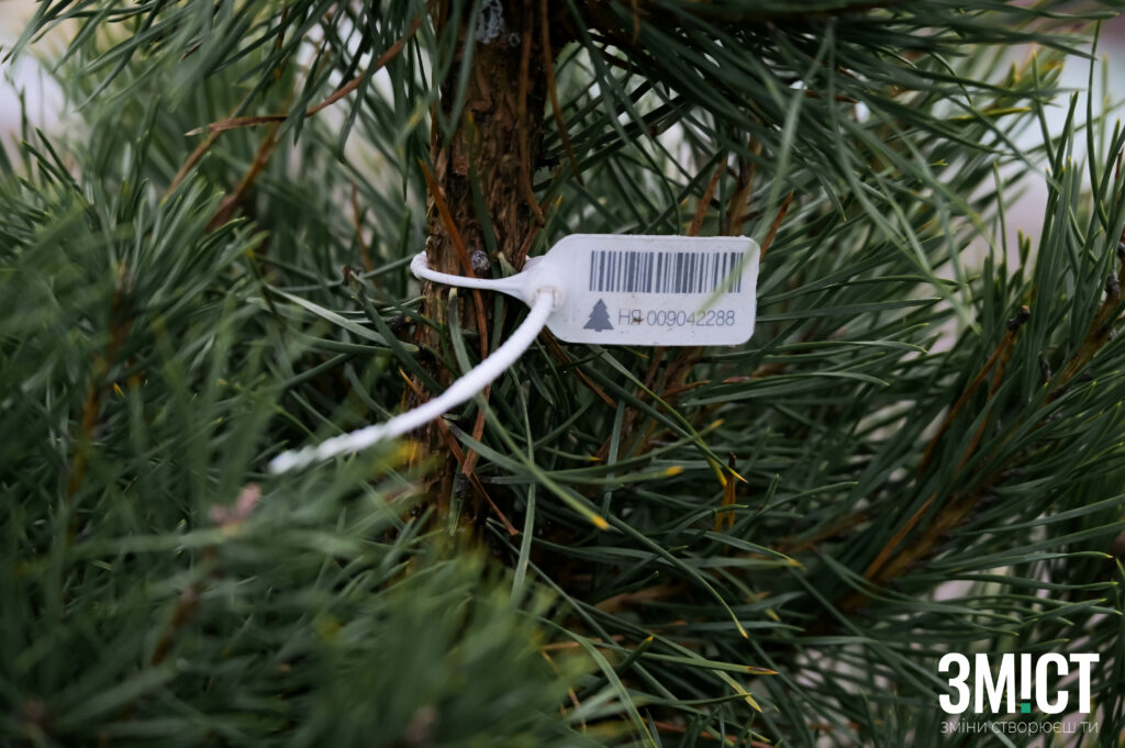 Ілюстративне фото. Позначки на ялинках.