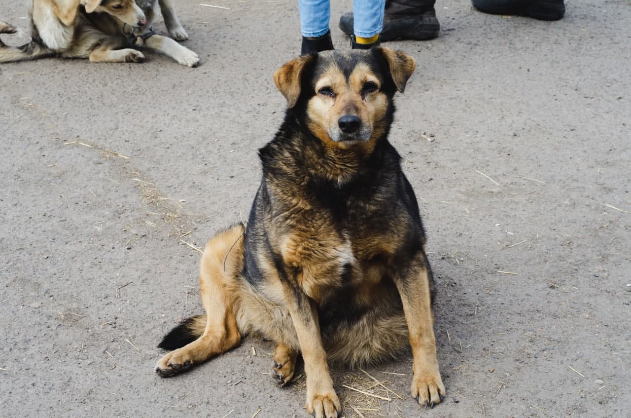 Ілюстративне фото
