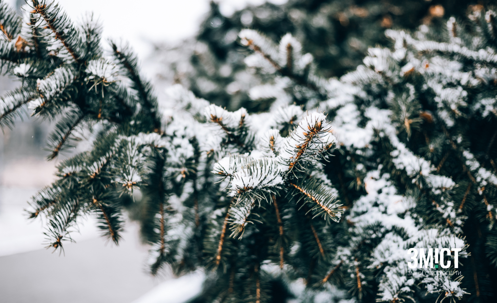 Сніг у Полтаві