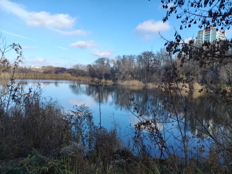 Ставок біля бульвару Євгена Коновальця, 64