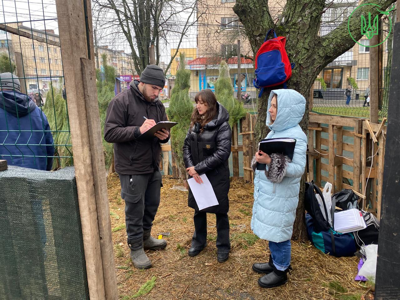 Інспектори перевіряють точки продажу ялинок