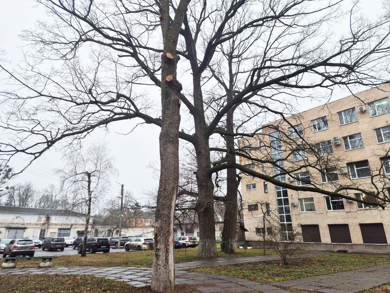 Сквер біля будинку генерал-губернатора