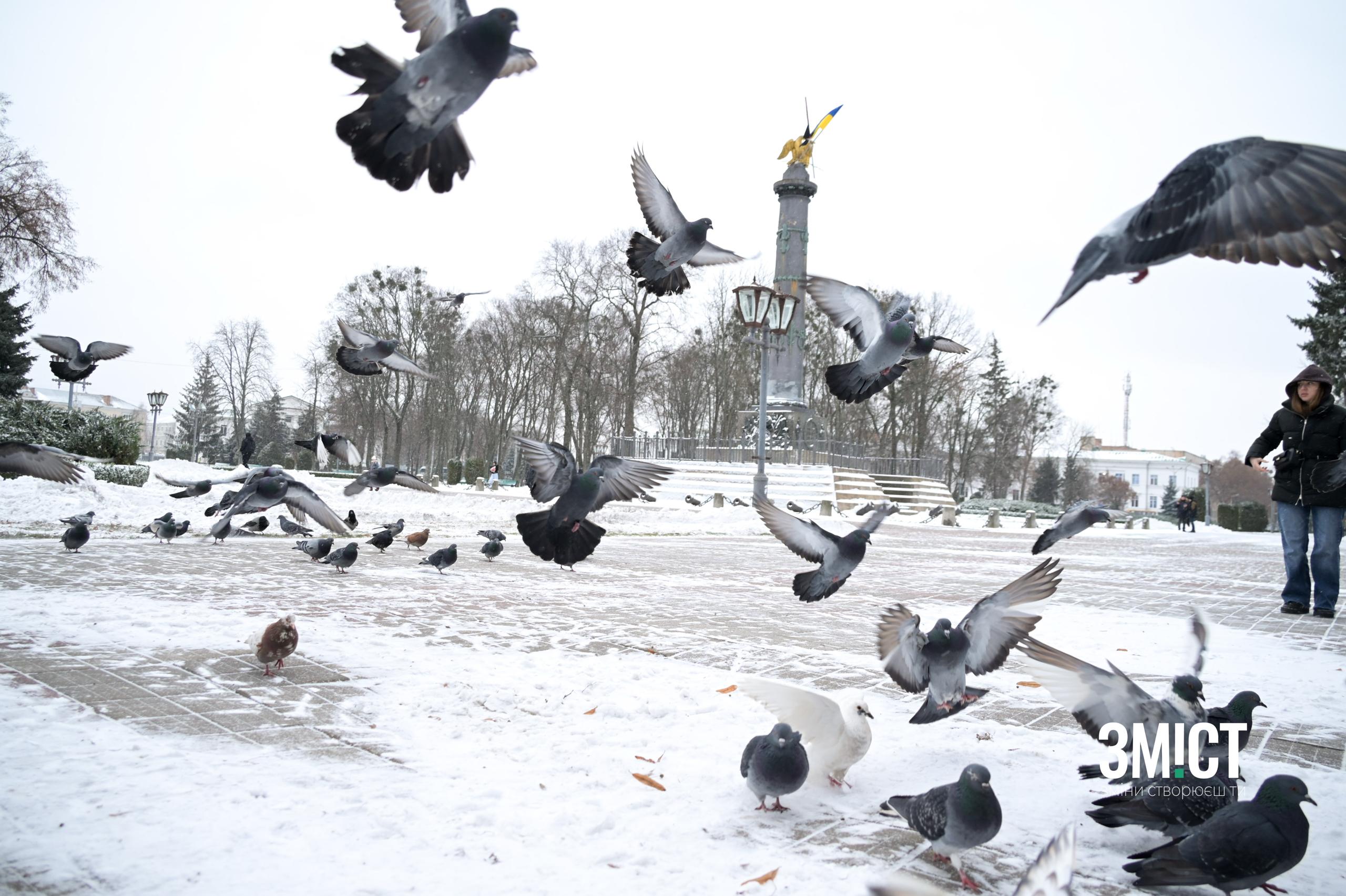 Ілюстративне фото. Полтава, зима 2025-2026