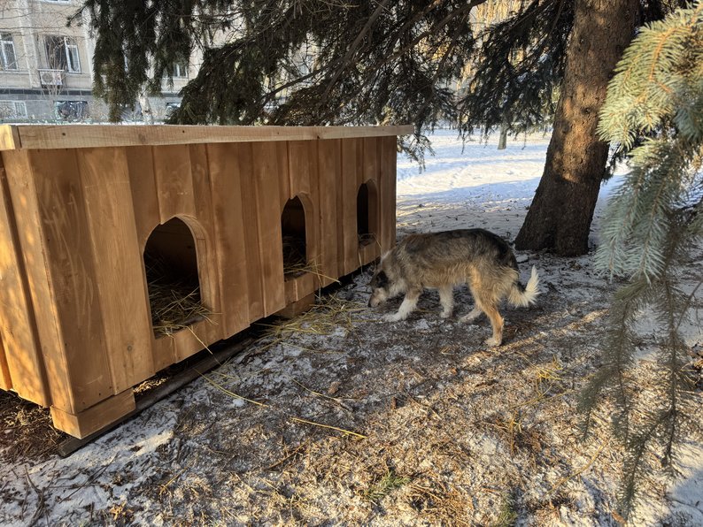 Будиночок для собак