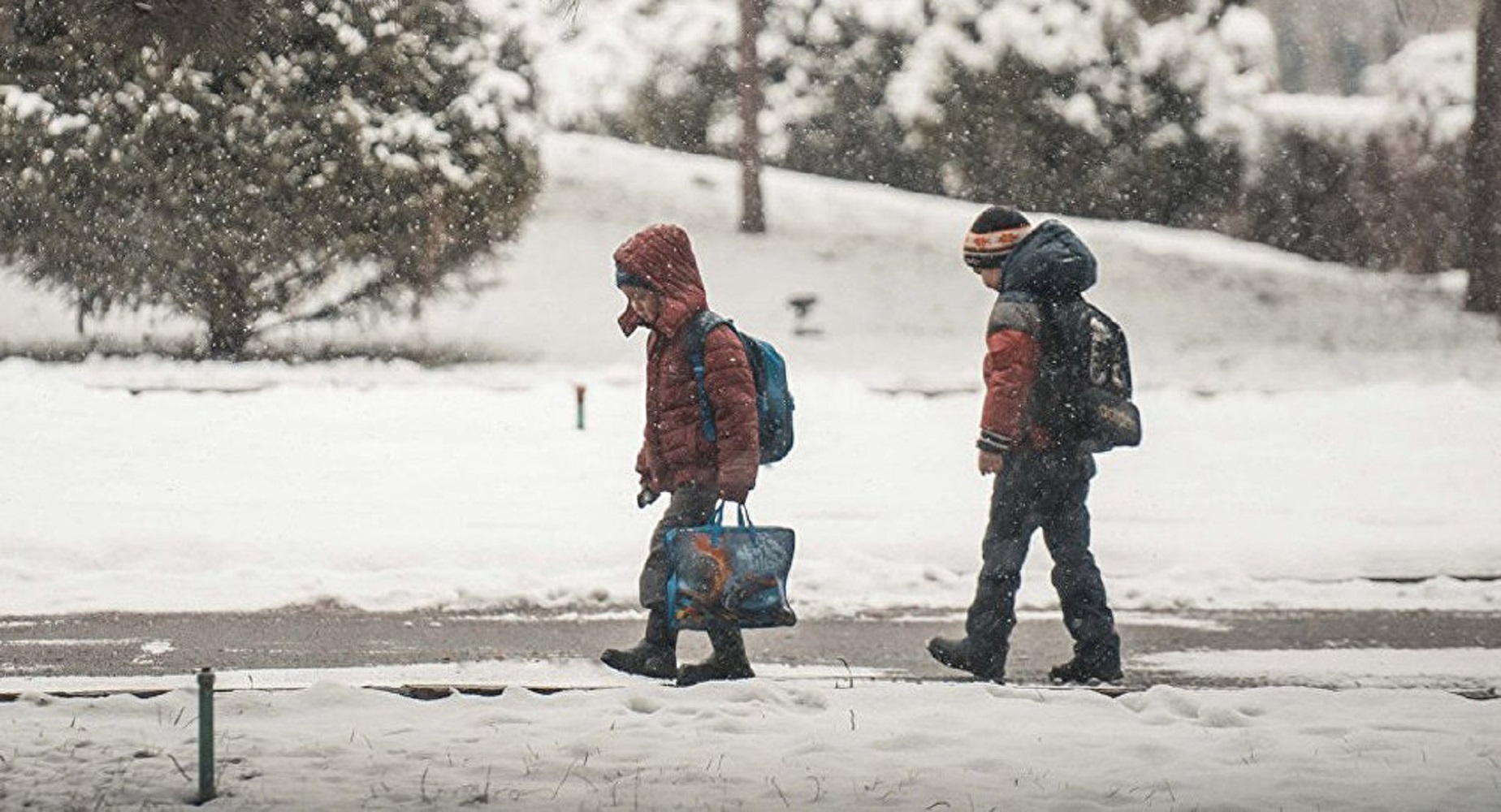 Ілюстративне фото.