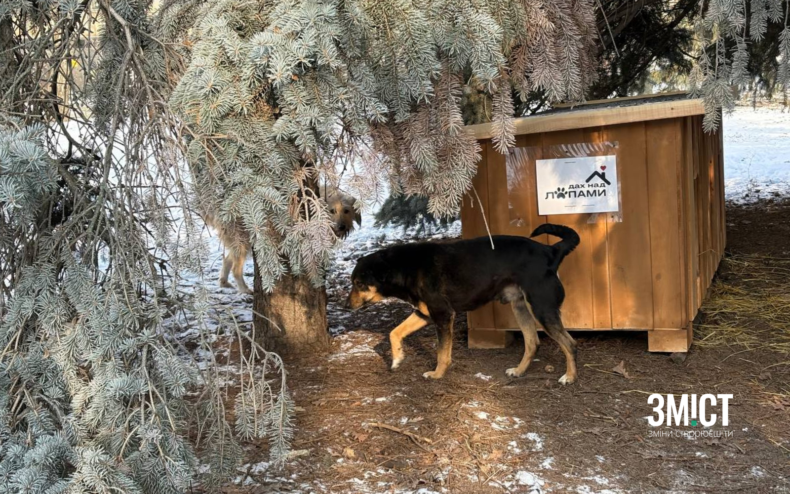 «Дах над лапками»