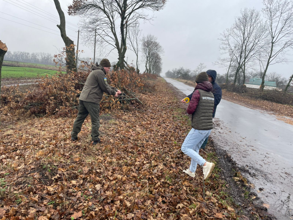 Незаконна вирубка дерев