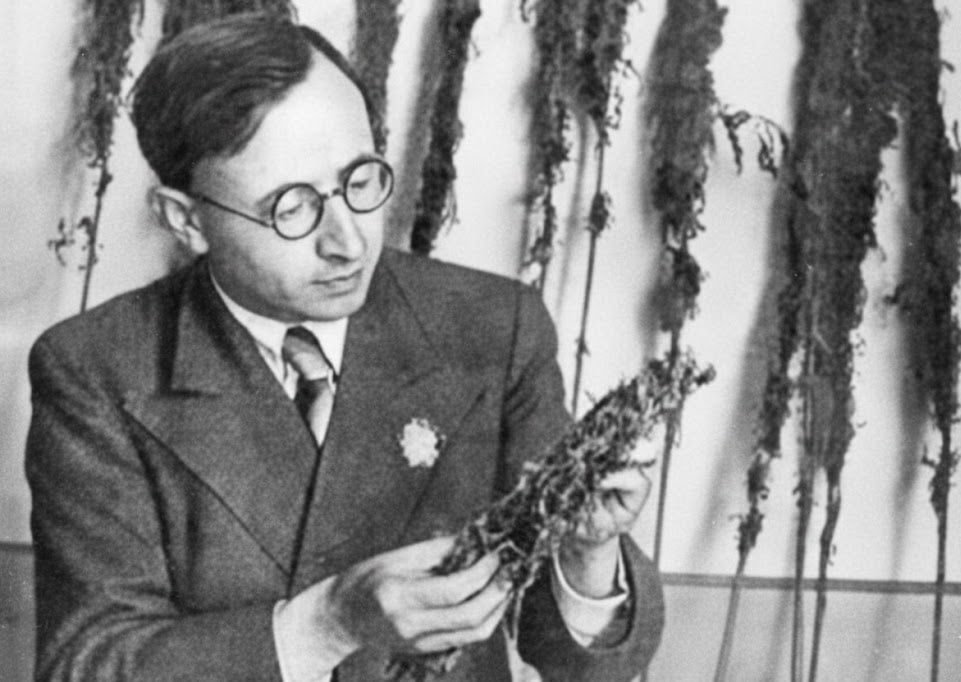 Микола Гришко