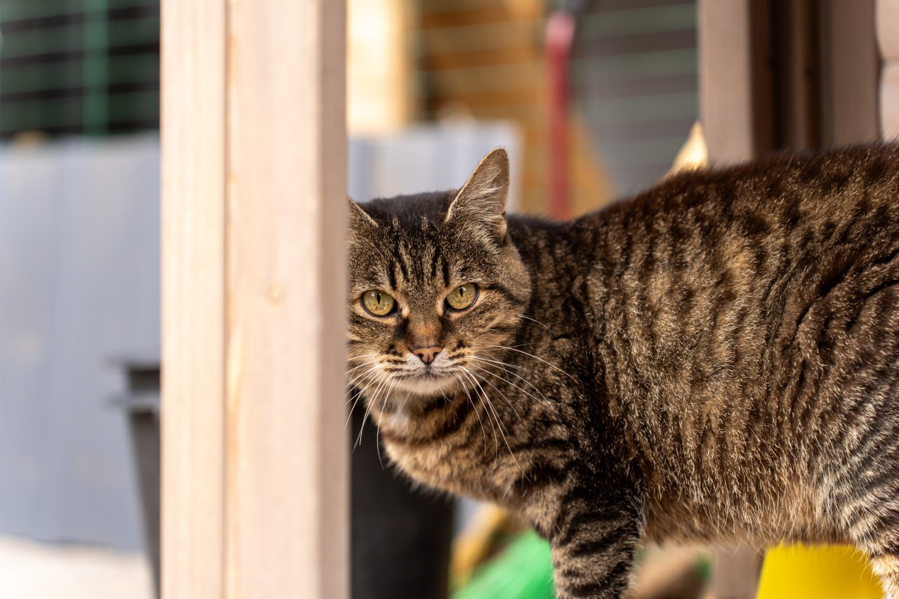 Ілюстративне фото