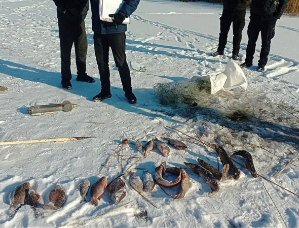 Незаконний вилов риби