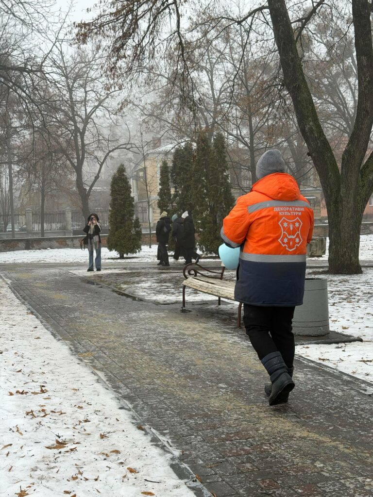 Усунення наслідків негоди