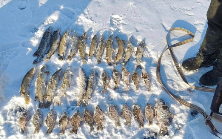 Риболовля на 330 тисяч гривень: на Полтавщині затримали браконьєрів у заповіднику