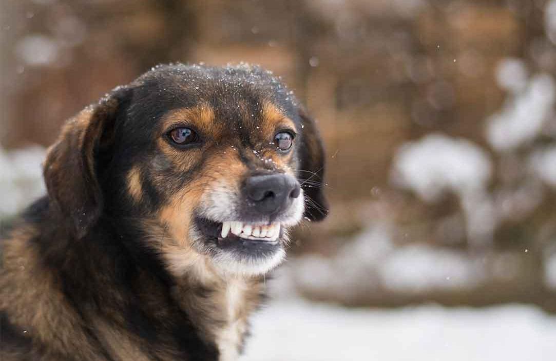 Ілюстративне фото