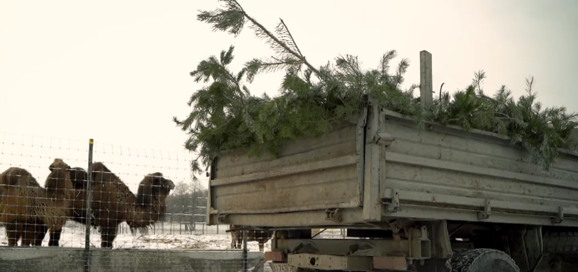 Допомога екопарку у Ковалівці