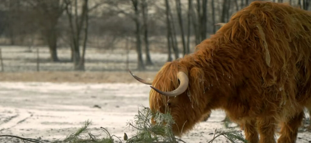 Допомогу екопарку