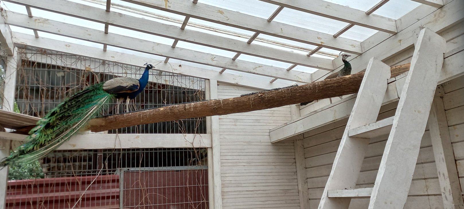 Ілюстративне фото