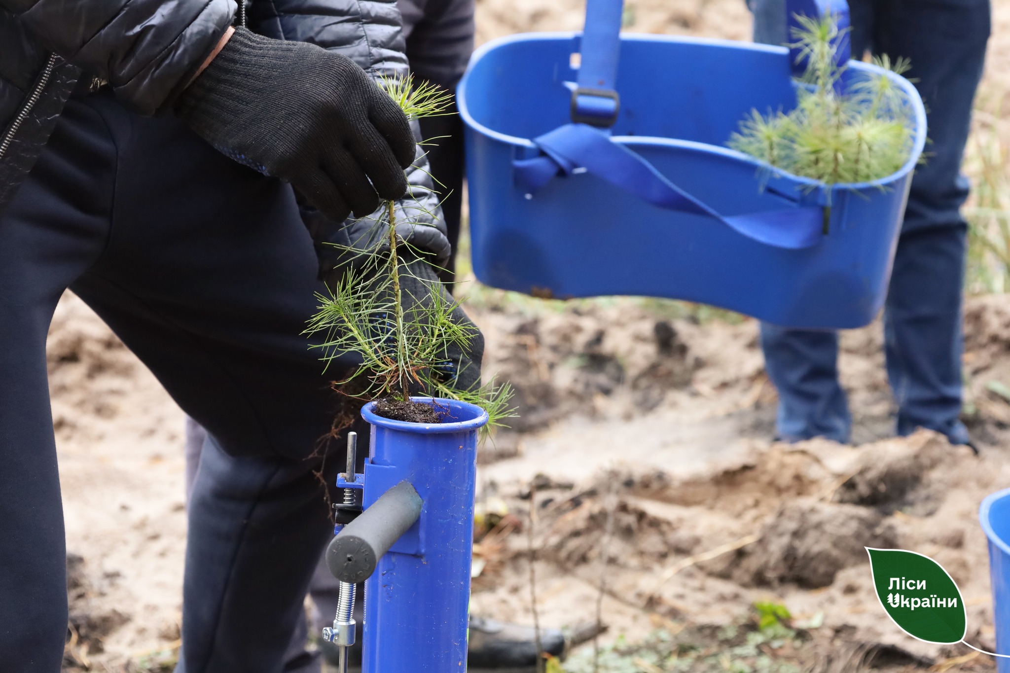 Ілюстративне фото