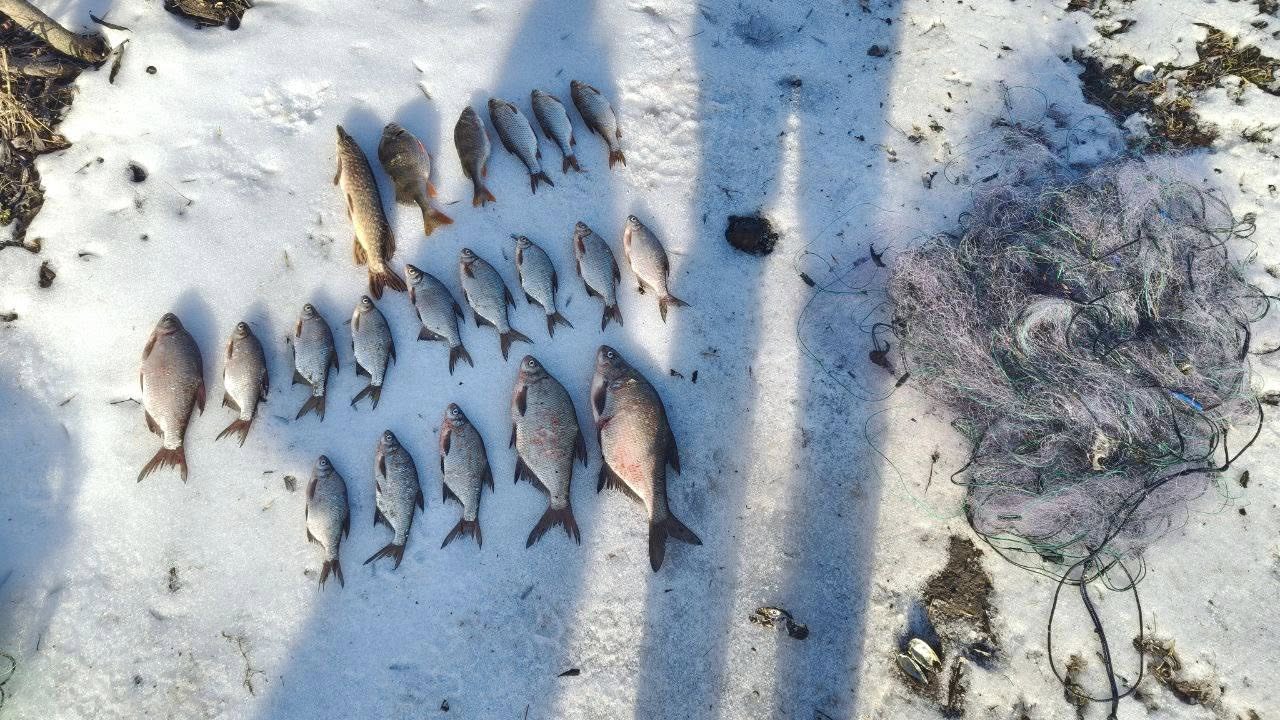 Вилучена риба та сітки у браконьєрів