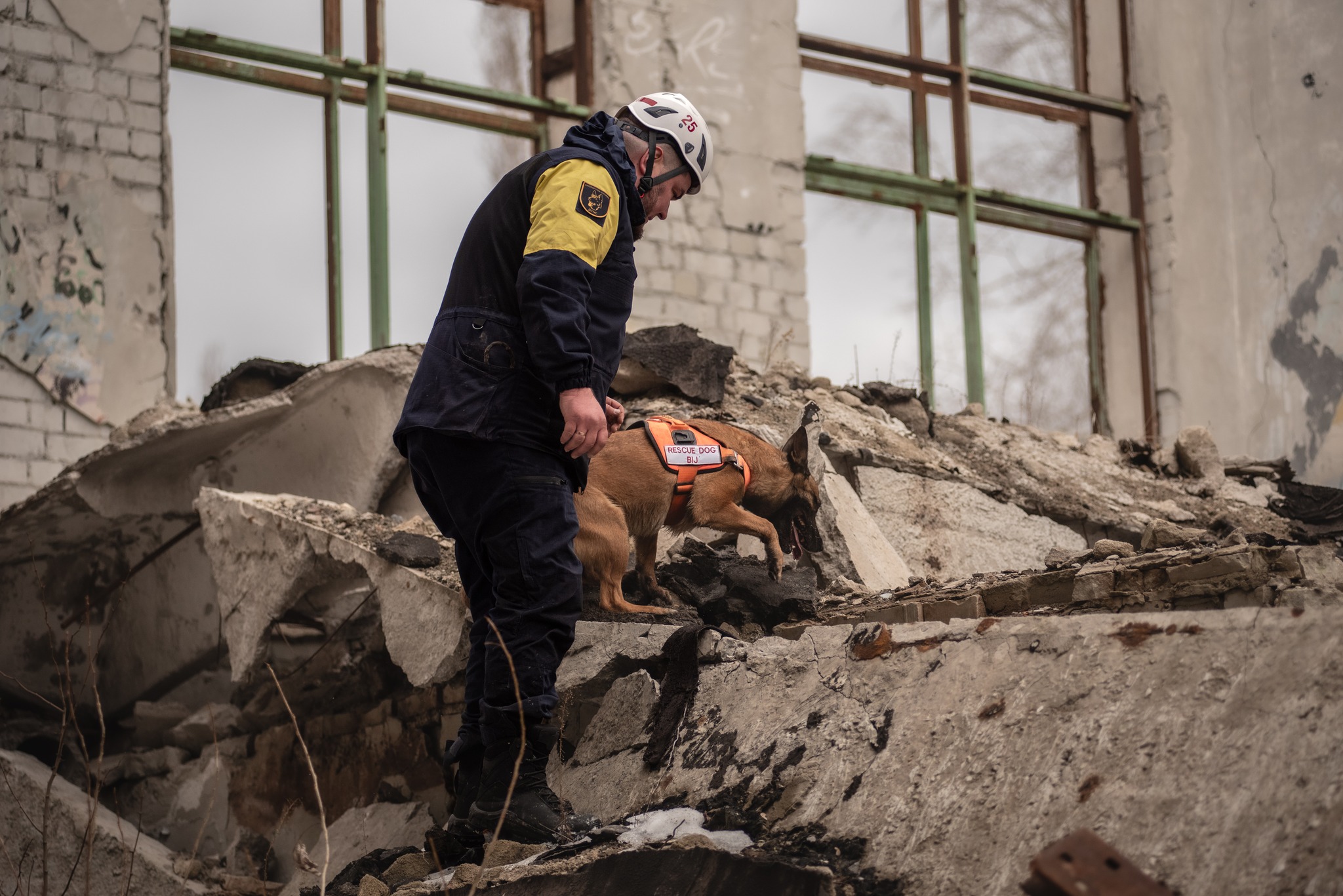 Кінологи тренувалися шукати людей під завалами після обстрілів
