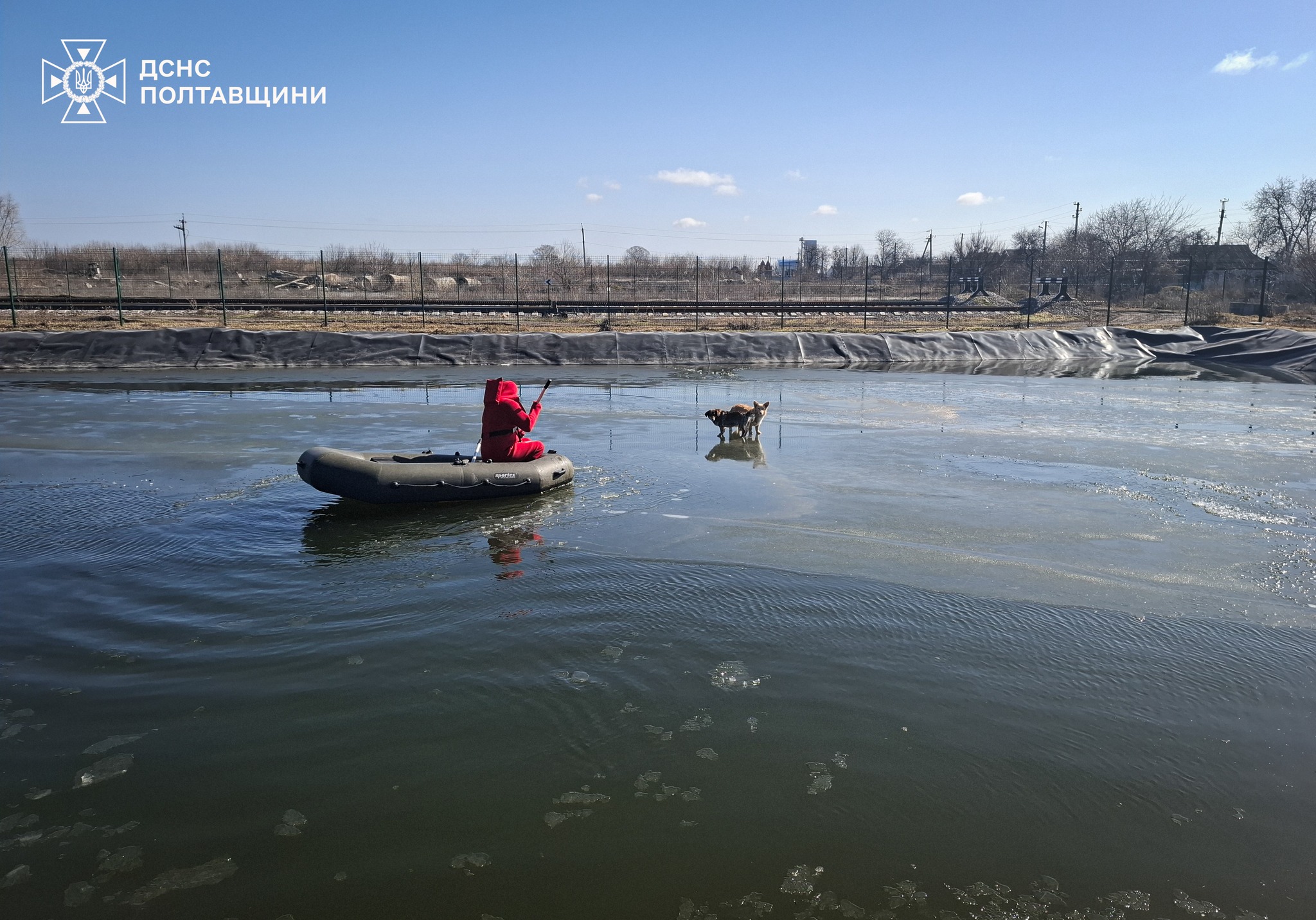На Полтавщині врятували двох собак, які дрейфували на крижині