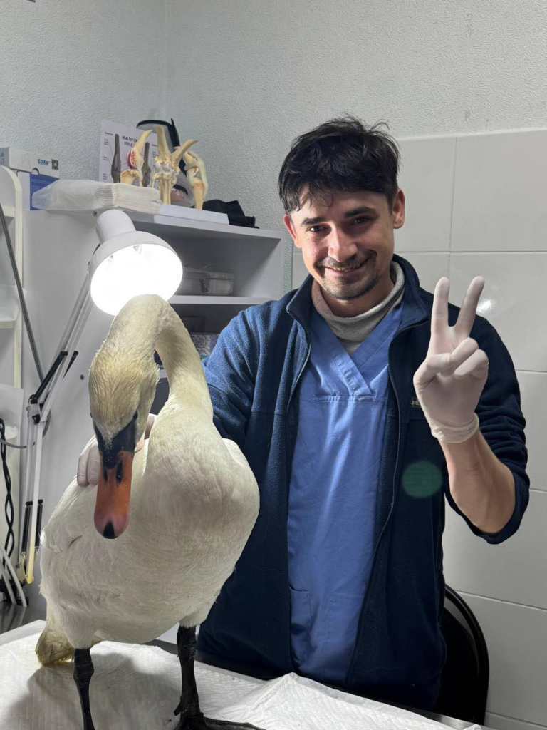 артур шабліян