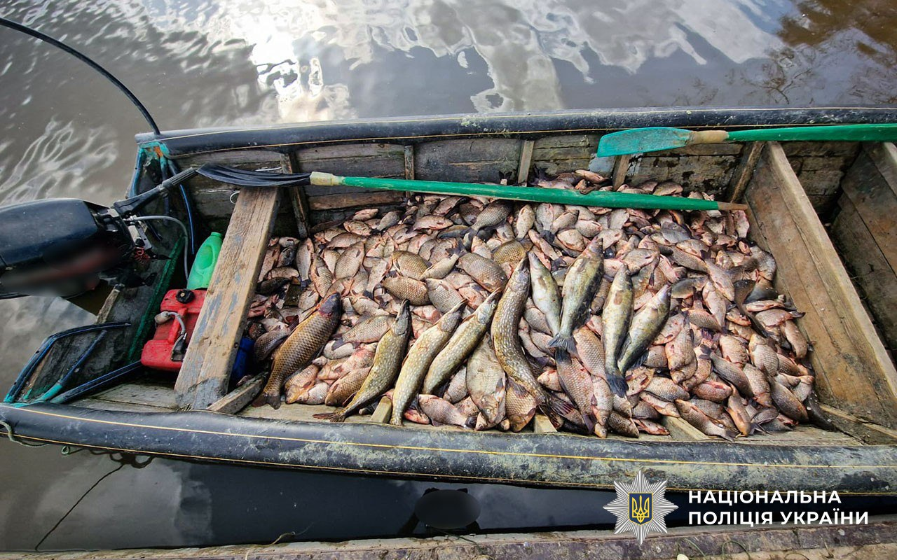 Риба, яку виловлювали на Кам’янському водосховищі